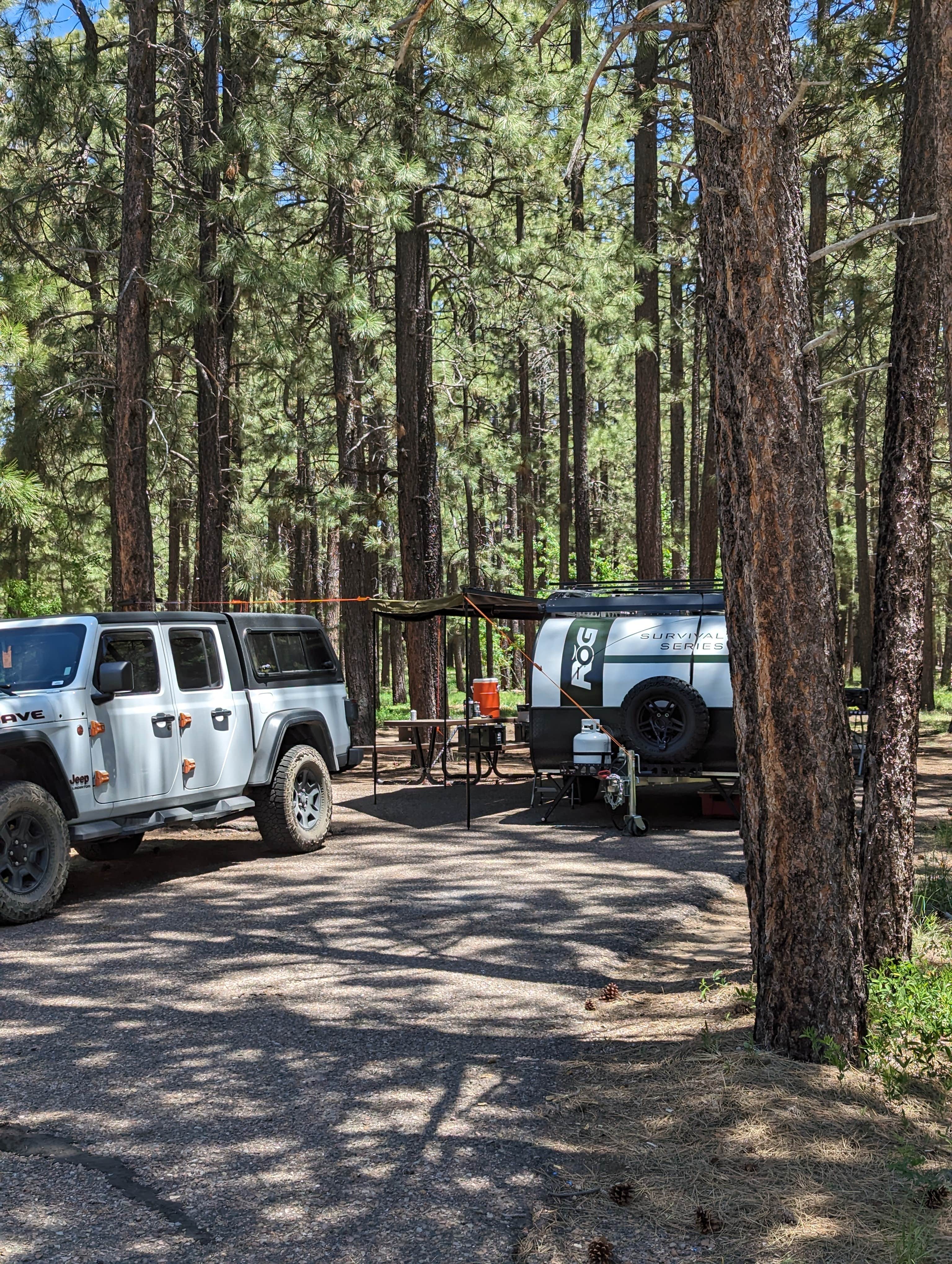 Camper-submitted photo at Sitgreaves National Forest Canyon Point Campground near Payson, AZ