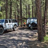 Review photo of Sitgreaves National Forest Canyon Point Campground by Frank J., June 9, 2024