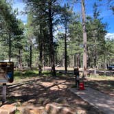 Review photo of Spillway Campground by Eric C., August 27, 2026