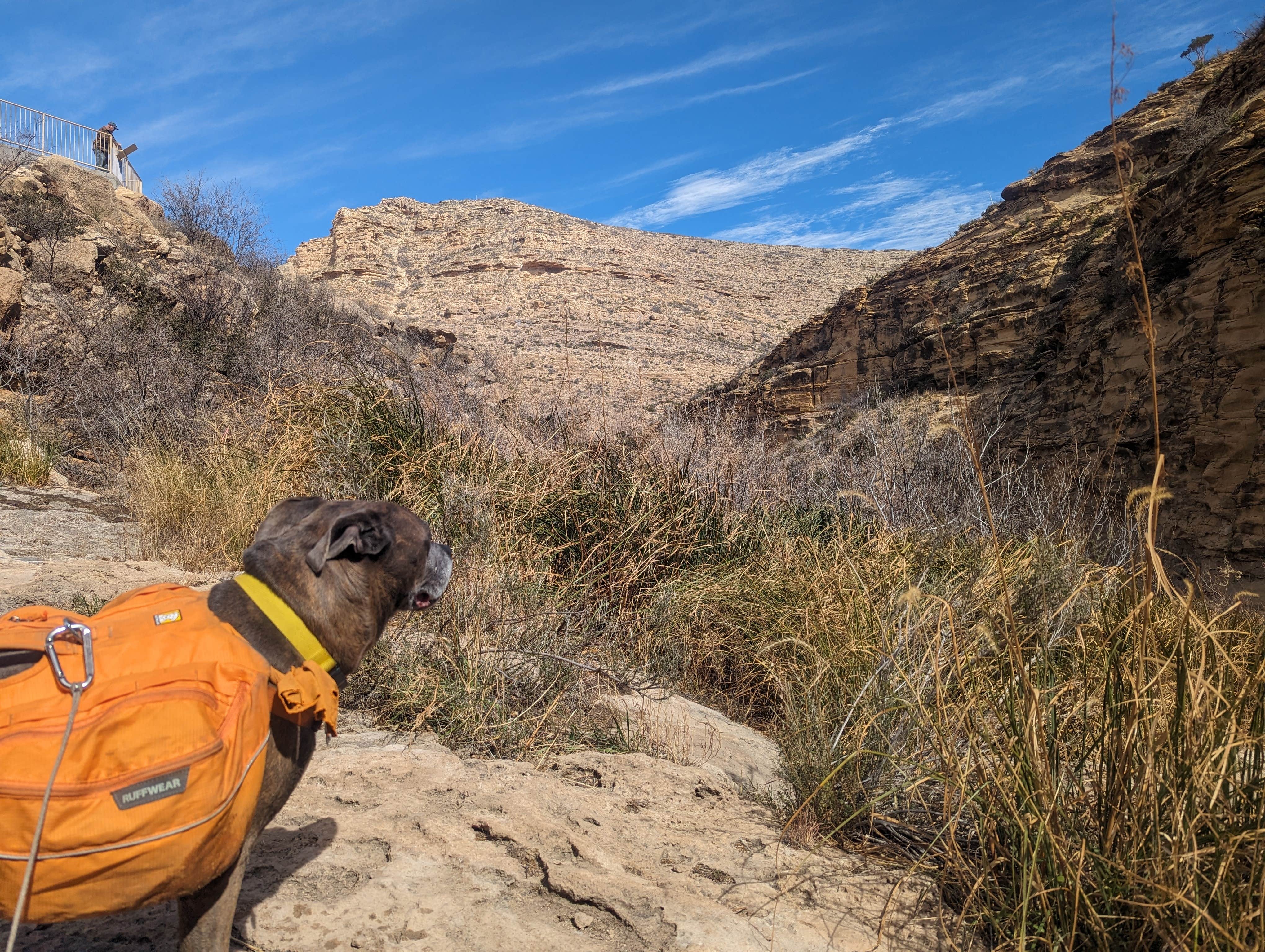 Cypress's photo of camping with pets at Sitting Bull Falls Dispersed near Dell City, TX