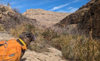 Cypress's photo of camping with pets at Sitting Bull Falls Dispersed near Artesia, NM