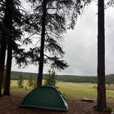 Review photo of Sitting Bull Campground by Makenzie S., June 16, 2026