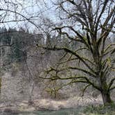 Review photo of Siuslaw National Forest Blackberry Campground by Paige P., February 21, 2026