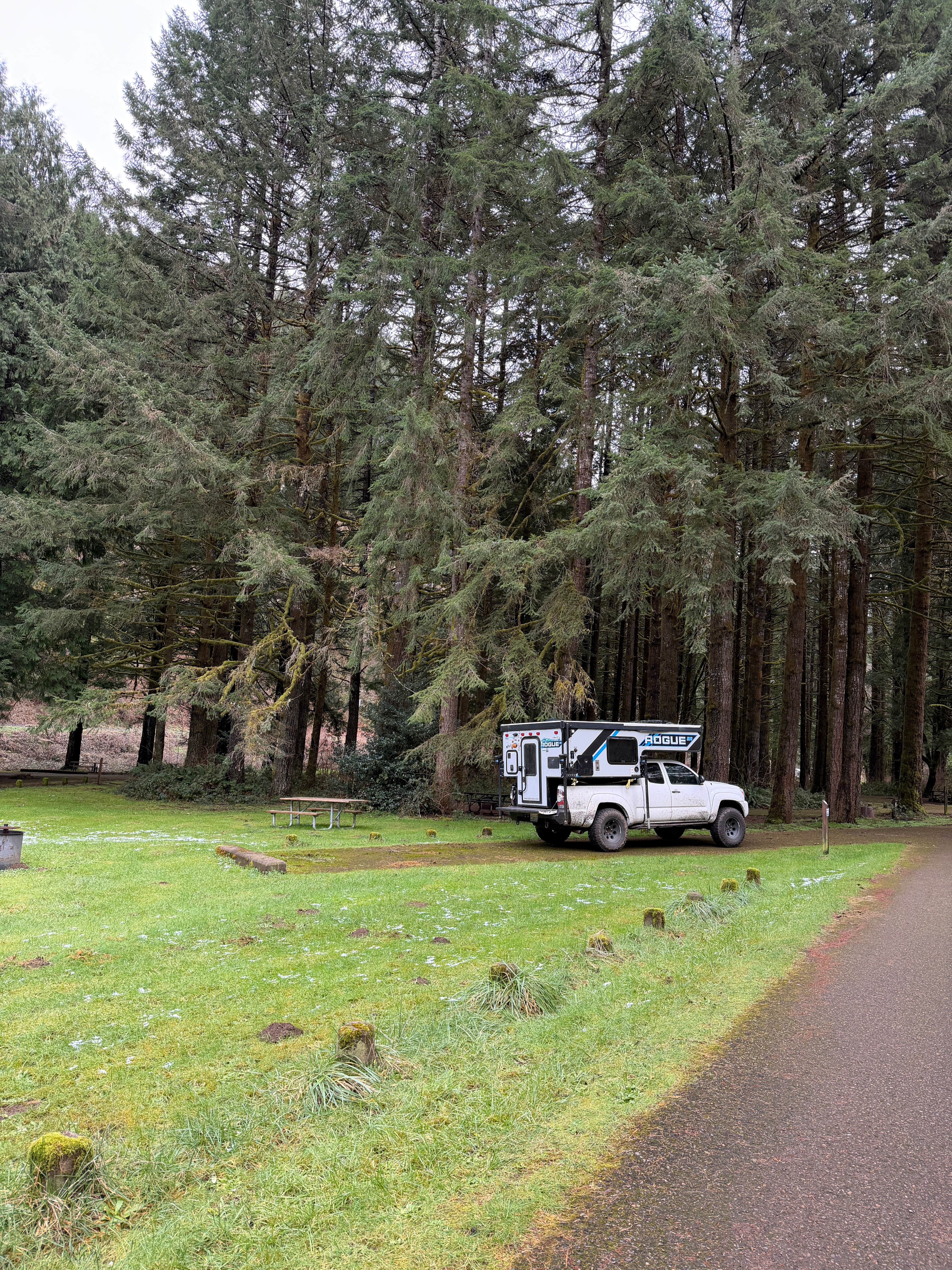 Camper-submitted photo at Siuslaw National Forest Blackberry Campground near Alsea, OR