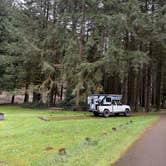 Review photo of Siuslaw National Forest Blackberry Campground by Paige P., February 21, 2026