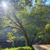 Review photo of Siuslaw National Forest Blackberry Campground by Chris A., October 16, 2026