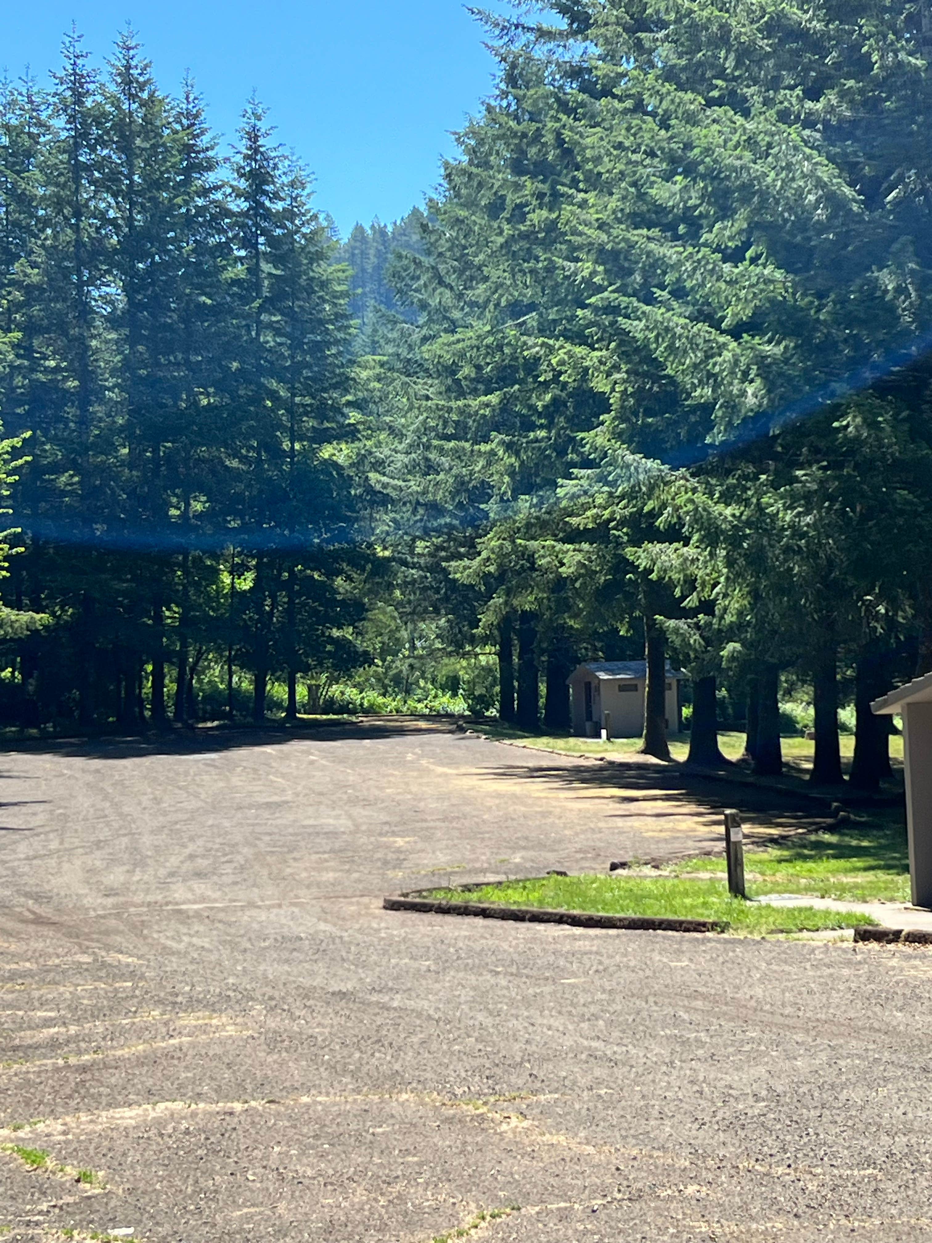 Camper submitted image from Siuslaw National Forest Riveredge Group Campground - 2