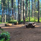 Review photo of Siuslaw National Forest South Lake Dispersed Camping by Shawna M., July 14, 2026