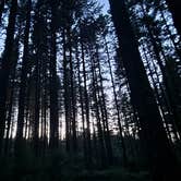 Review photo of Siuslaw National Forest South Lake Dispersed Camping by Shawna M., July 14, 2026