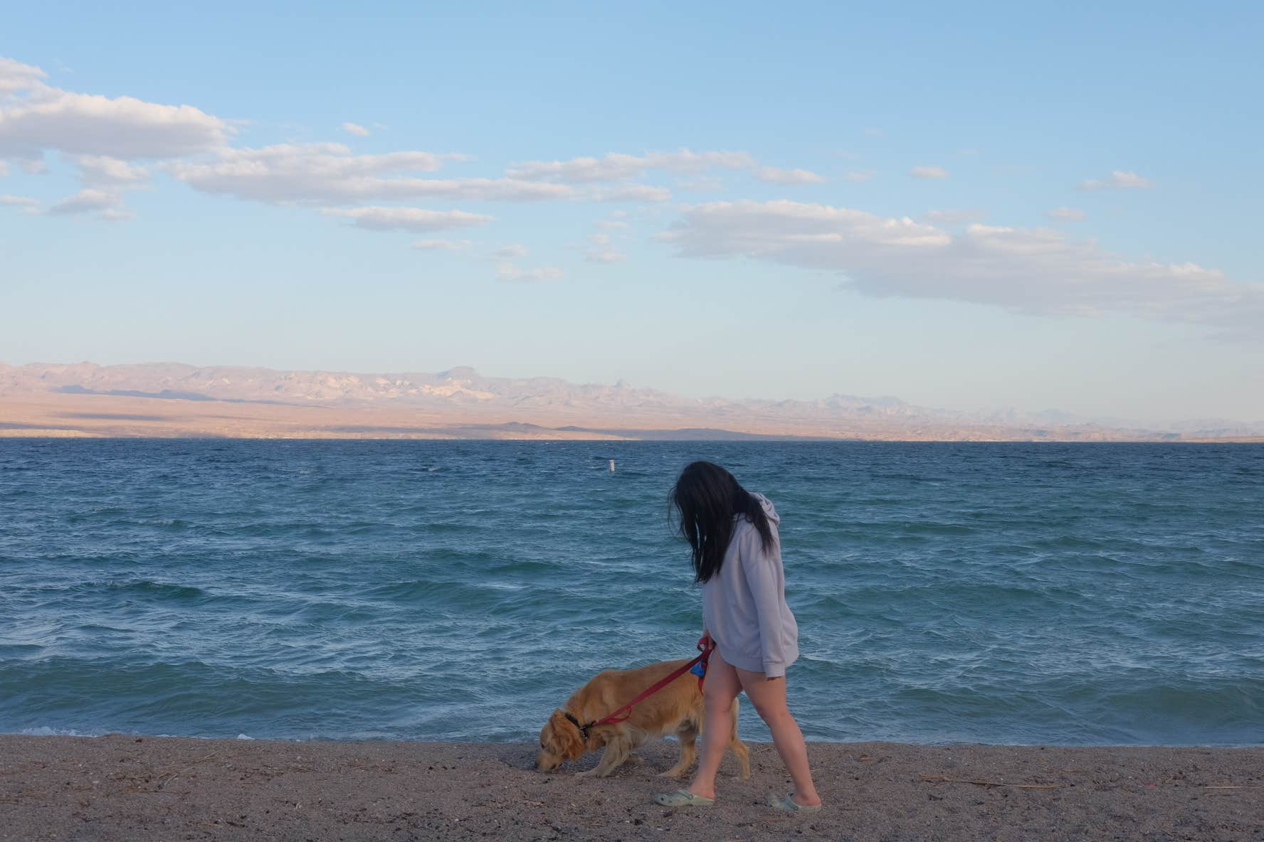 Kat Z.'s photo of camping with pets at Six Mile Cove — Lake Mohave near Lake Mead National Recreation Area