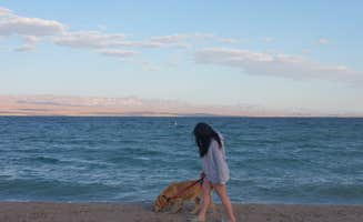 Kat Z.'s photo of camping with pets at Six Mile Cove — Lake Mohave near Willow Beach, AZ
