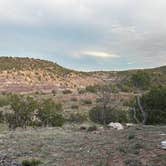 Review photo of Six Mile Canyon Road Dispersed Site by Terry O., May 7, 2024