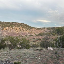 Six Mile Canyon Road Dispersed Site