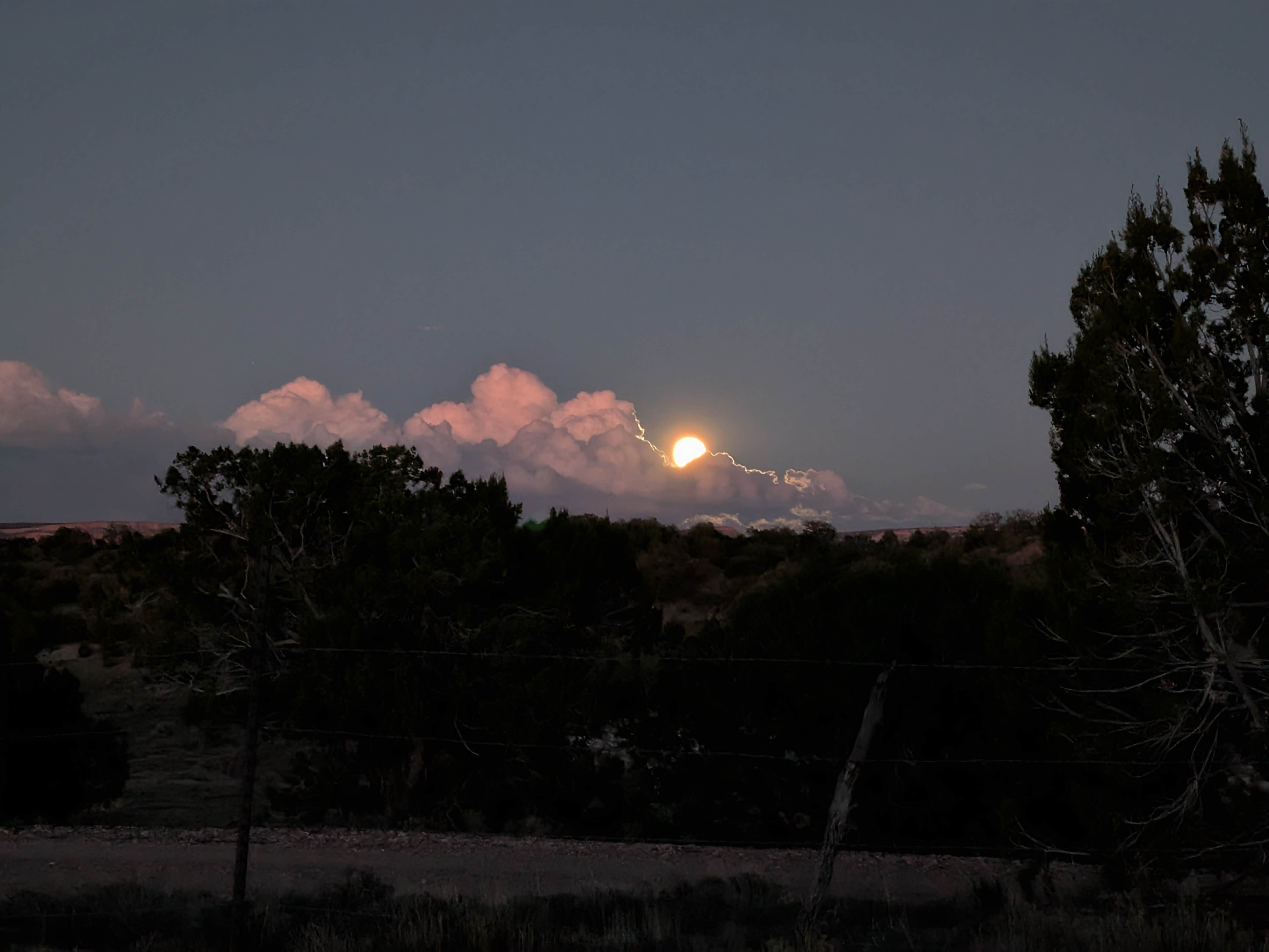 Camping near Quaking Aspen Campground: Six Mile Canyon Road Dispersed Site, Jamestown, New Mexico