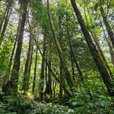 Review photo of Skull Creek Campground by 7headeadDragon H., September 25, 2025