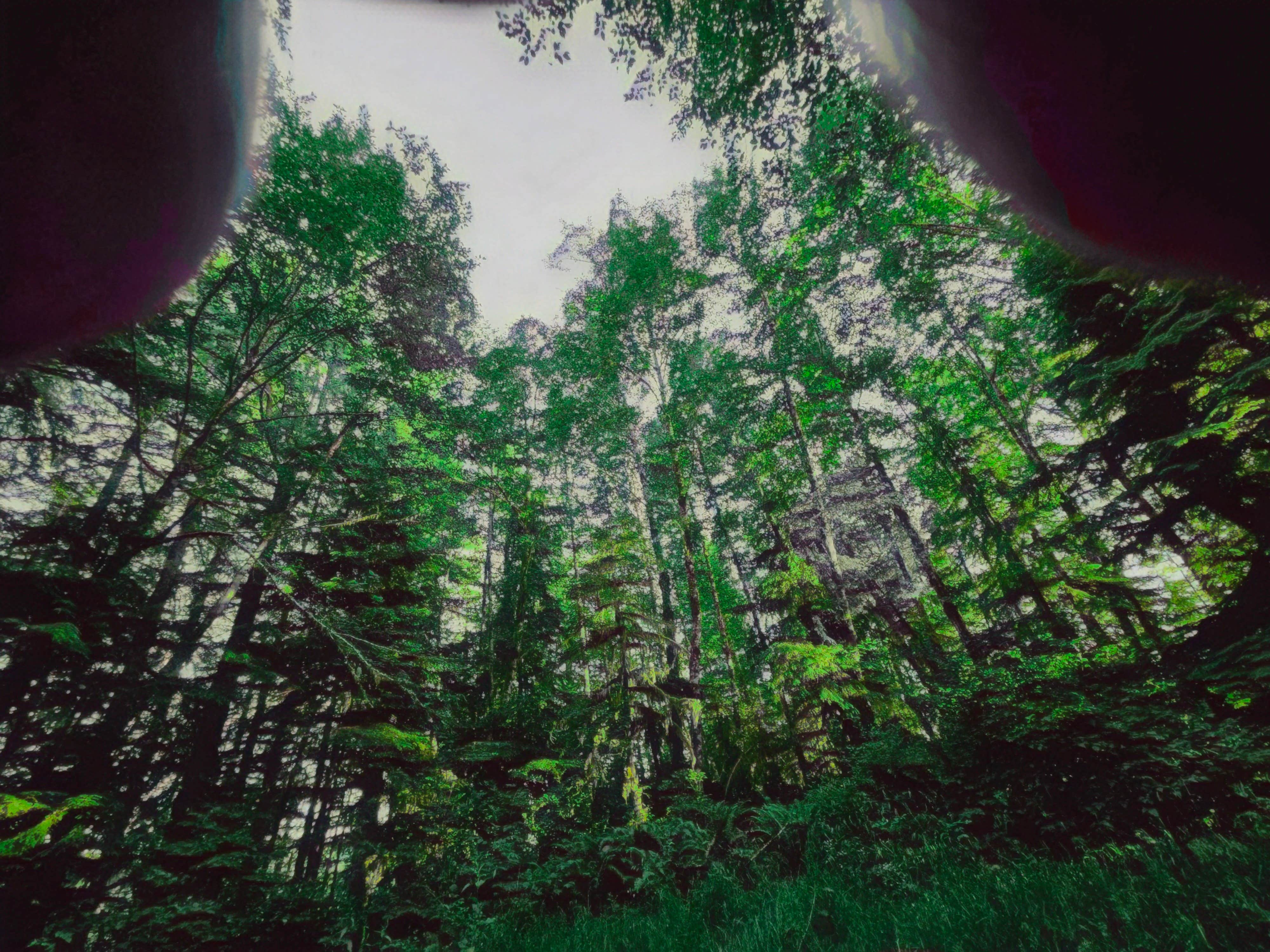 Camper submitted image from Skull Creek Campground - 1