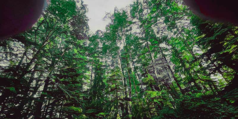 Camper submitted image from Skull Creek Campground