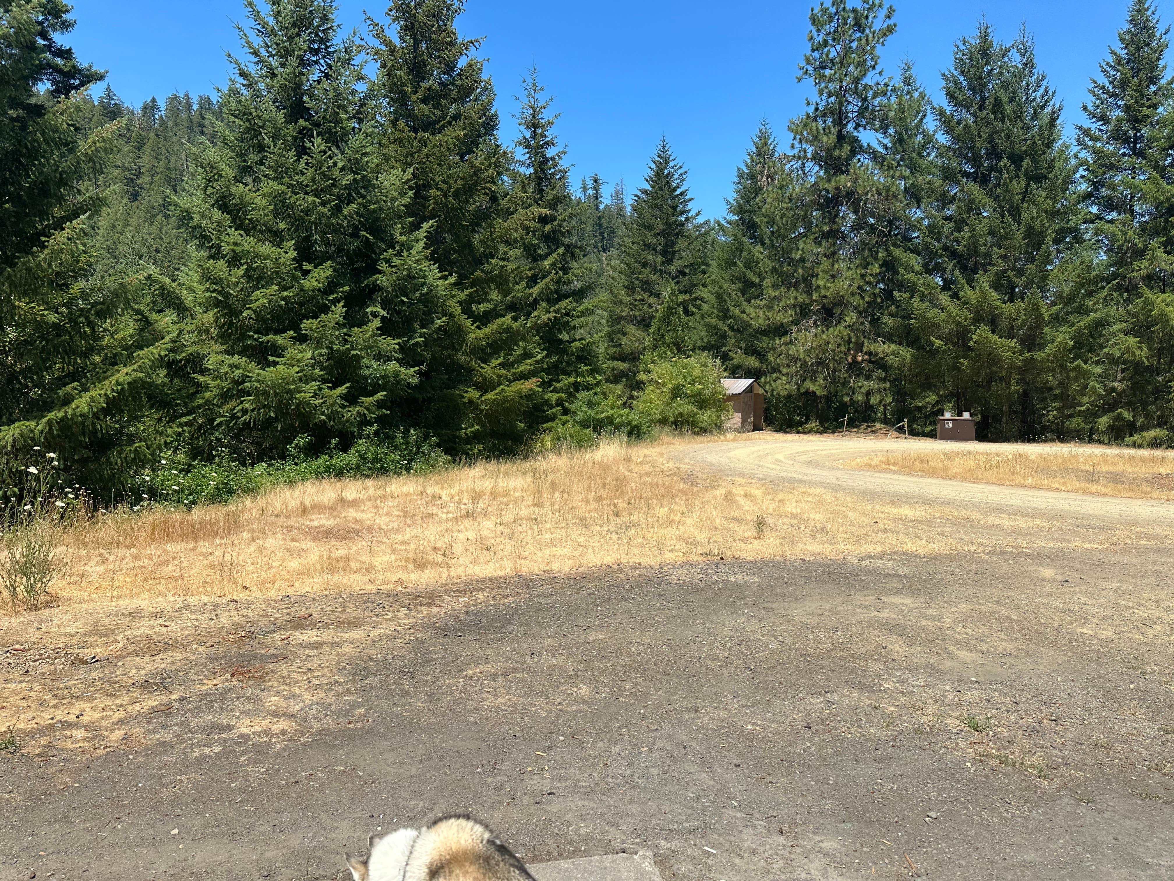 Scot W.'s photo of camping with pets at Skull Creek Campground near Roseburg, OR