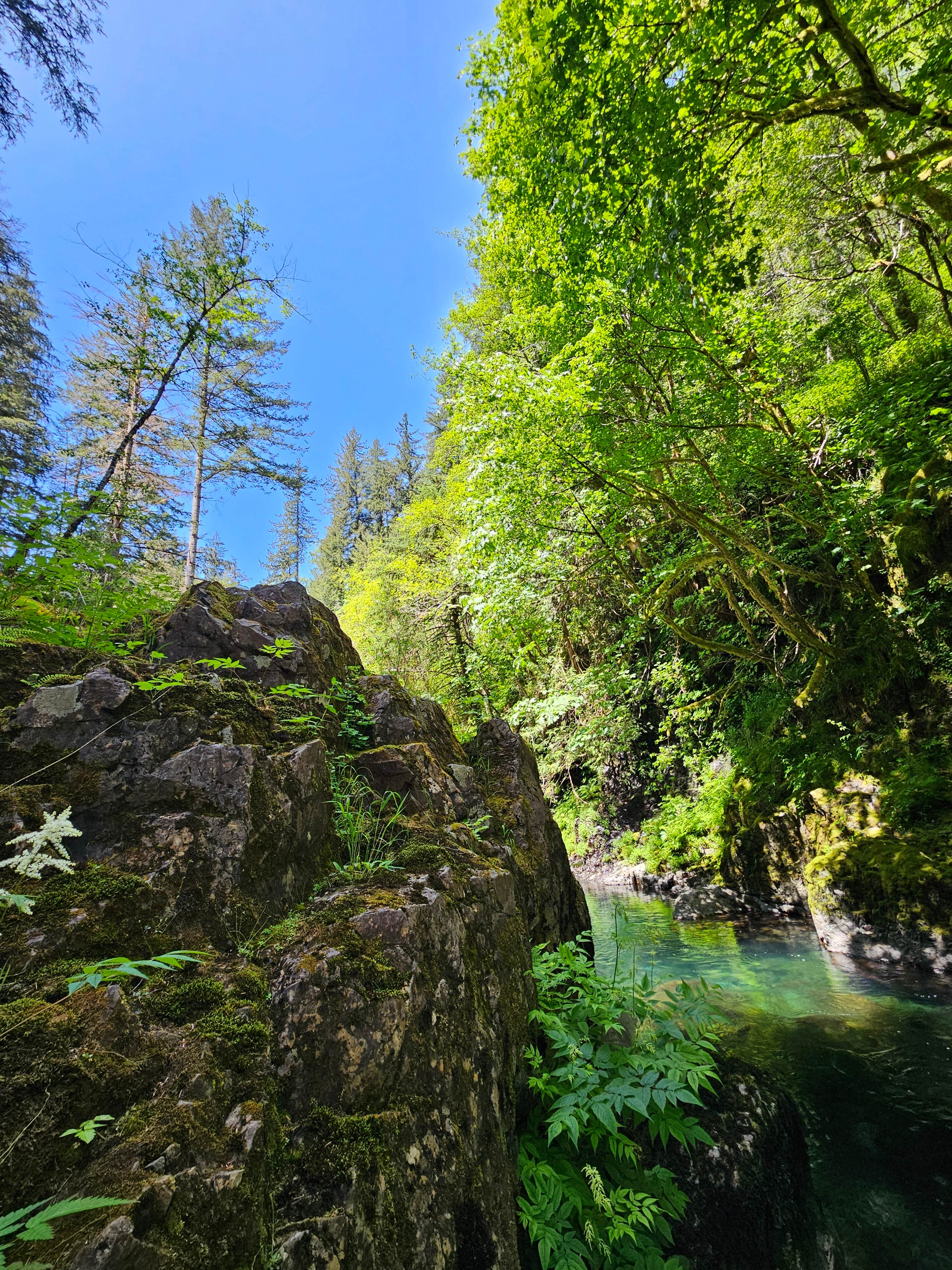 Camper-submitted photo at Skull Creek Campground near Oakland, OR