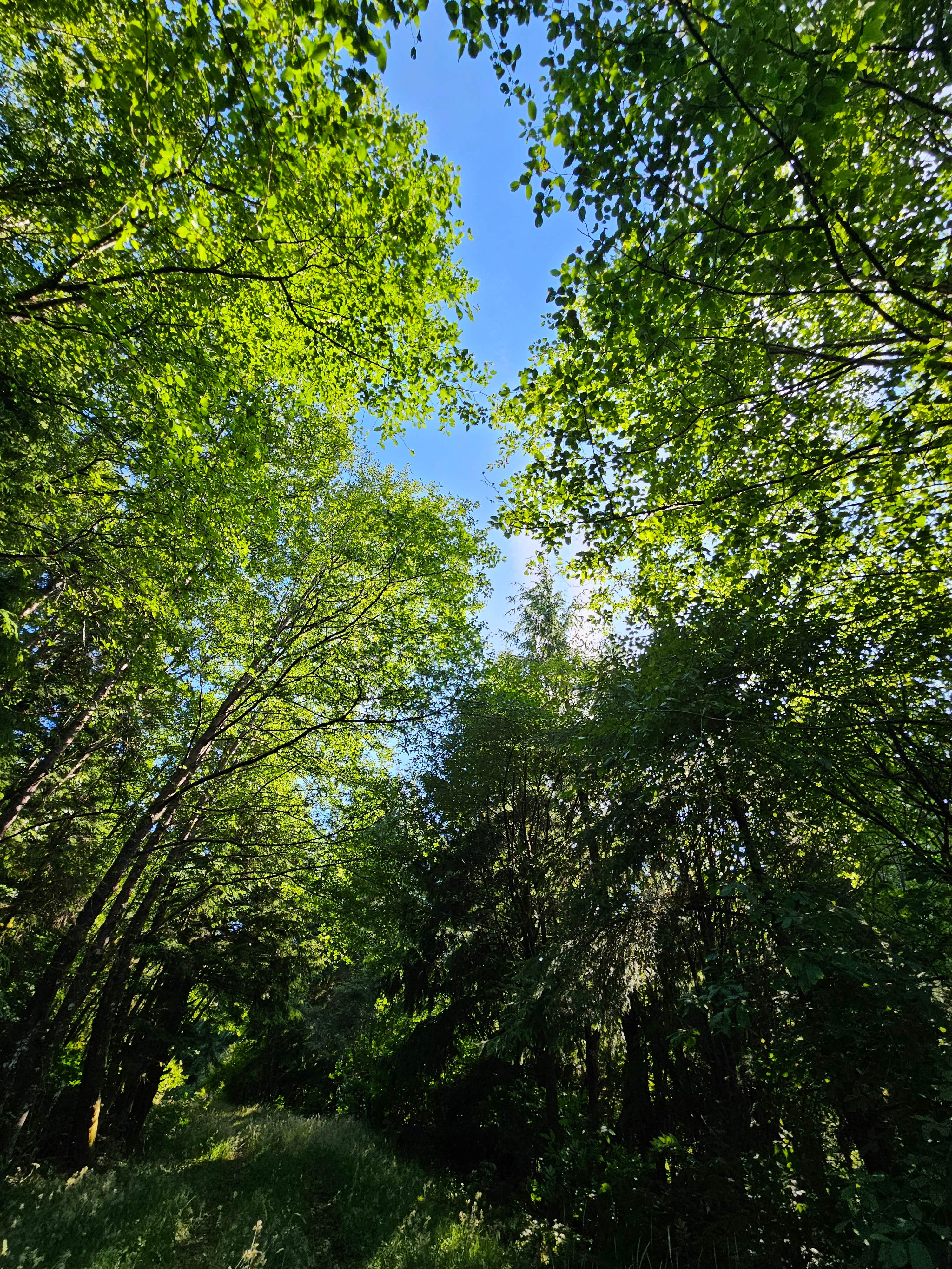 Camper-submitted photo at Skull Creek Campground near Oakland, OR