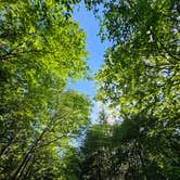 Review photo of Skull Creek Campground by 7headeadDragon H., September 25, 2025