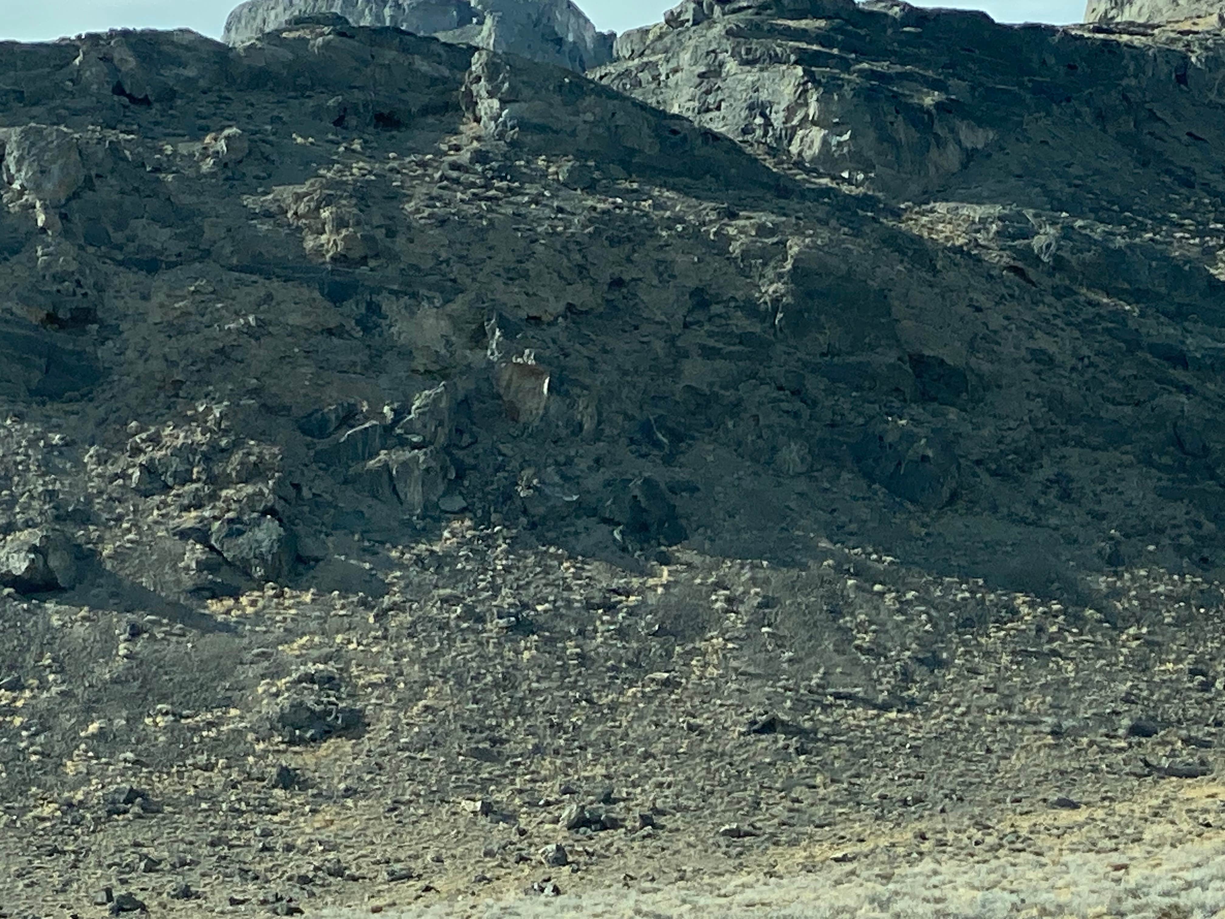 Camper-submitted photo at Skull Valley Rd Dispersed Camping near Grantsville, UT
