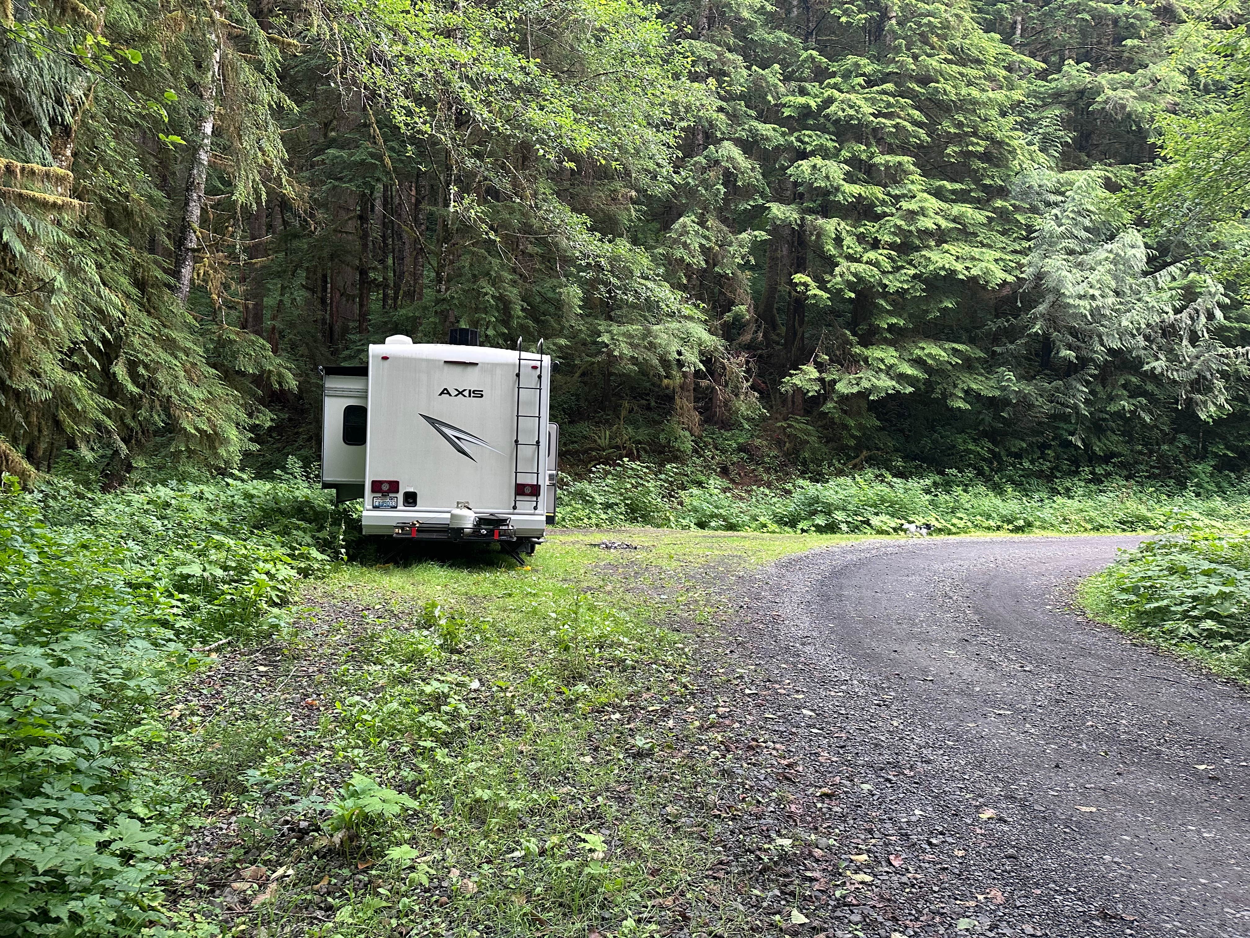 Camper-submitted photo at Skunk Creek/Quinalt Ridge Road near Pacific Beach, WA