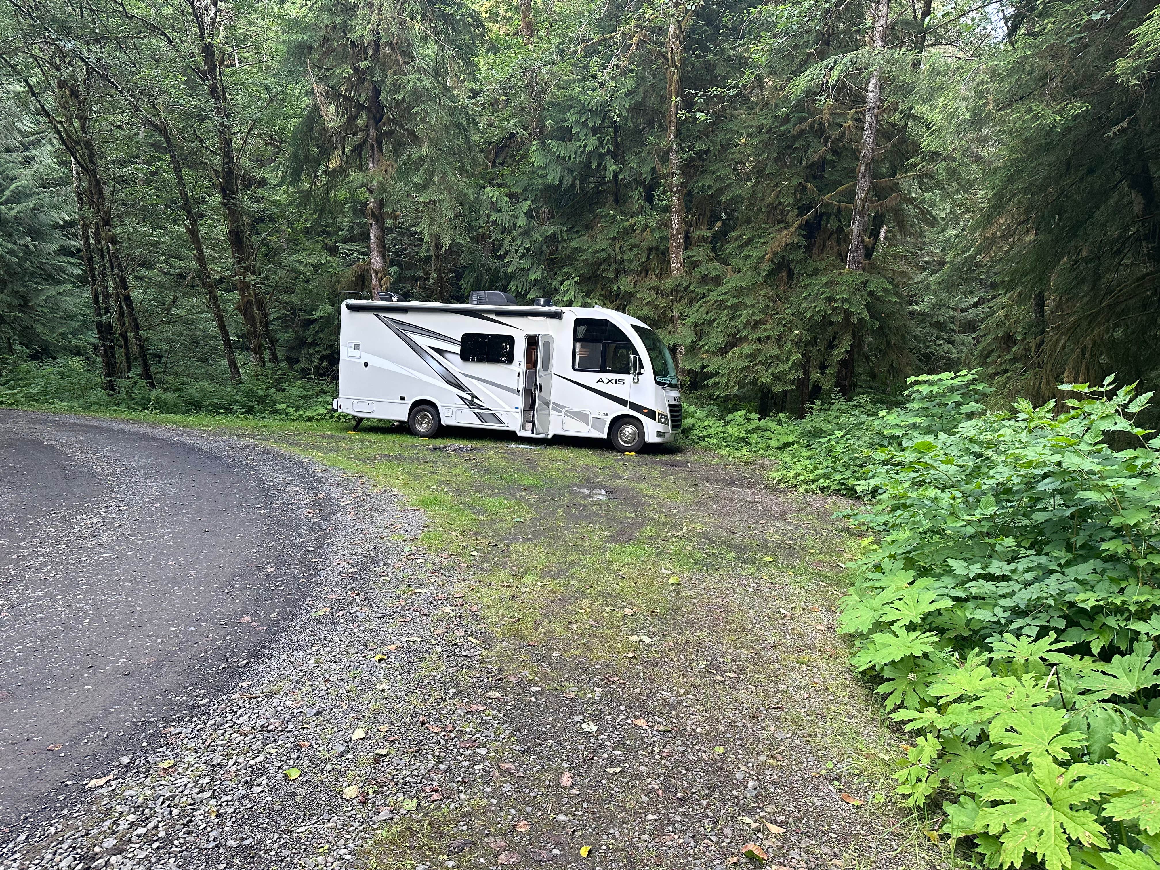 Camper-submitted photo at Skunk Creek/Quinalt Ridge Road near Pacific Beach, WA