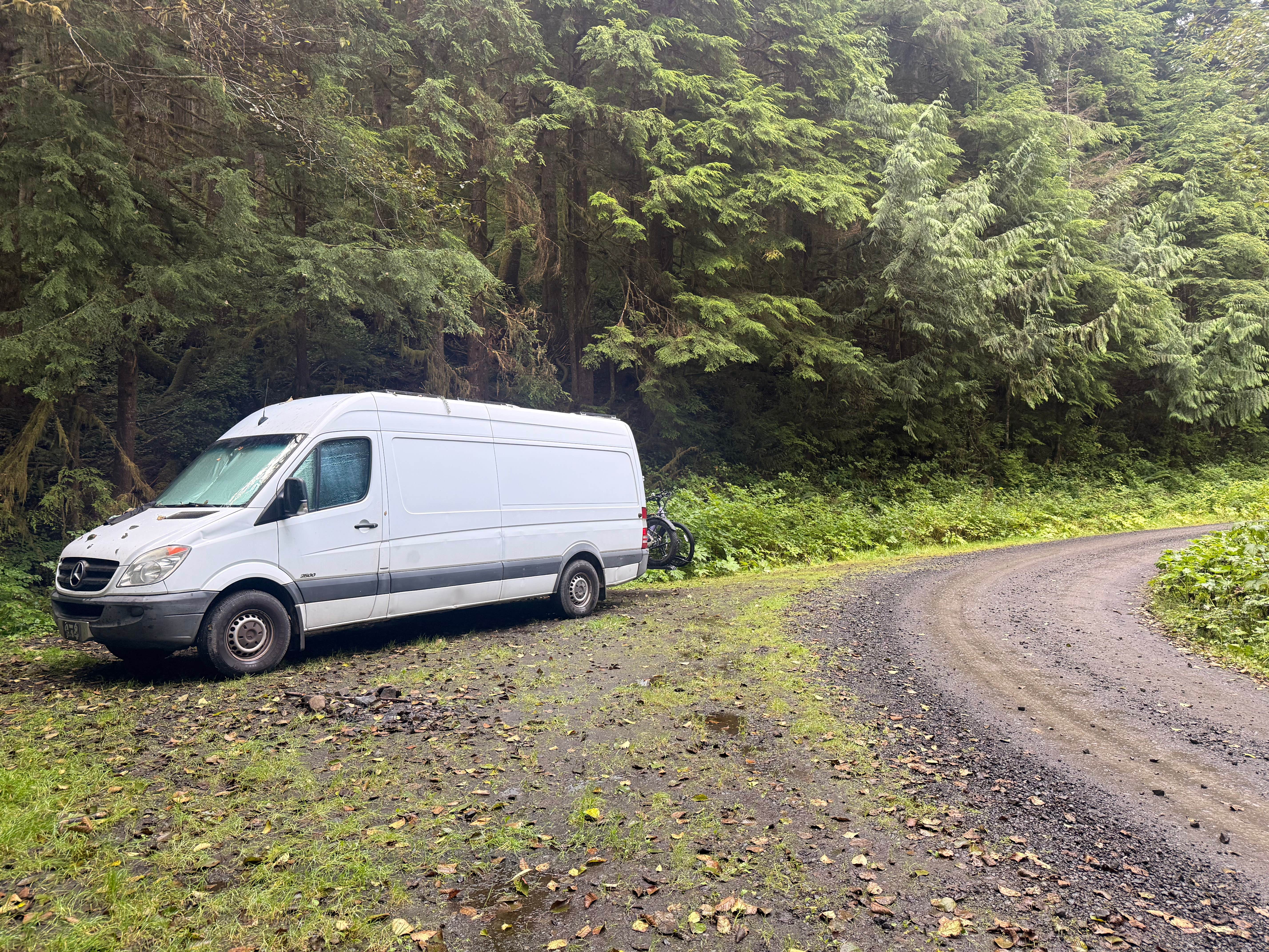 Camping near Gatton Creek Campground: Skunk Creek/Quinalt Ridge Road, Amanda Park, Washington