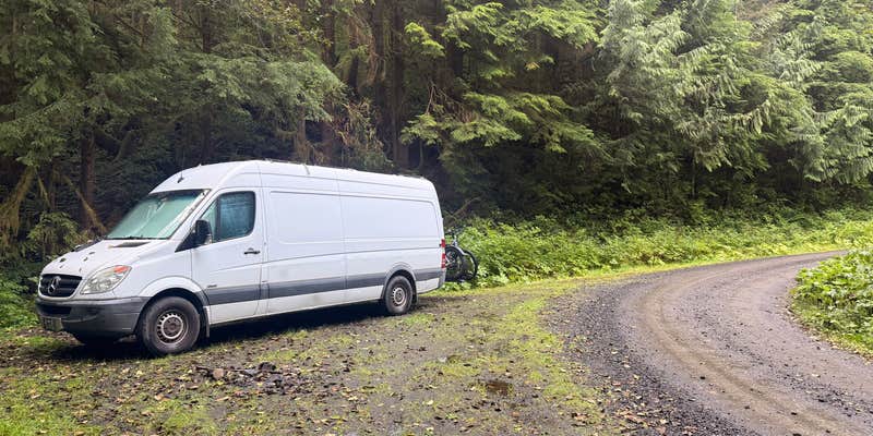 Camper submitted image from Skunk Creek/Quinalt Ridge Road