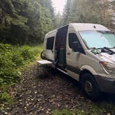 Review photo of Skunk Creek/Quinalt Ridge Road by Kylee R., September 23, 2026
