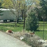 Review photo of Sky Mountain Resort RV Park by johny R., April 15, 2026
