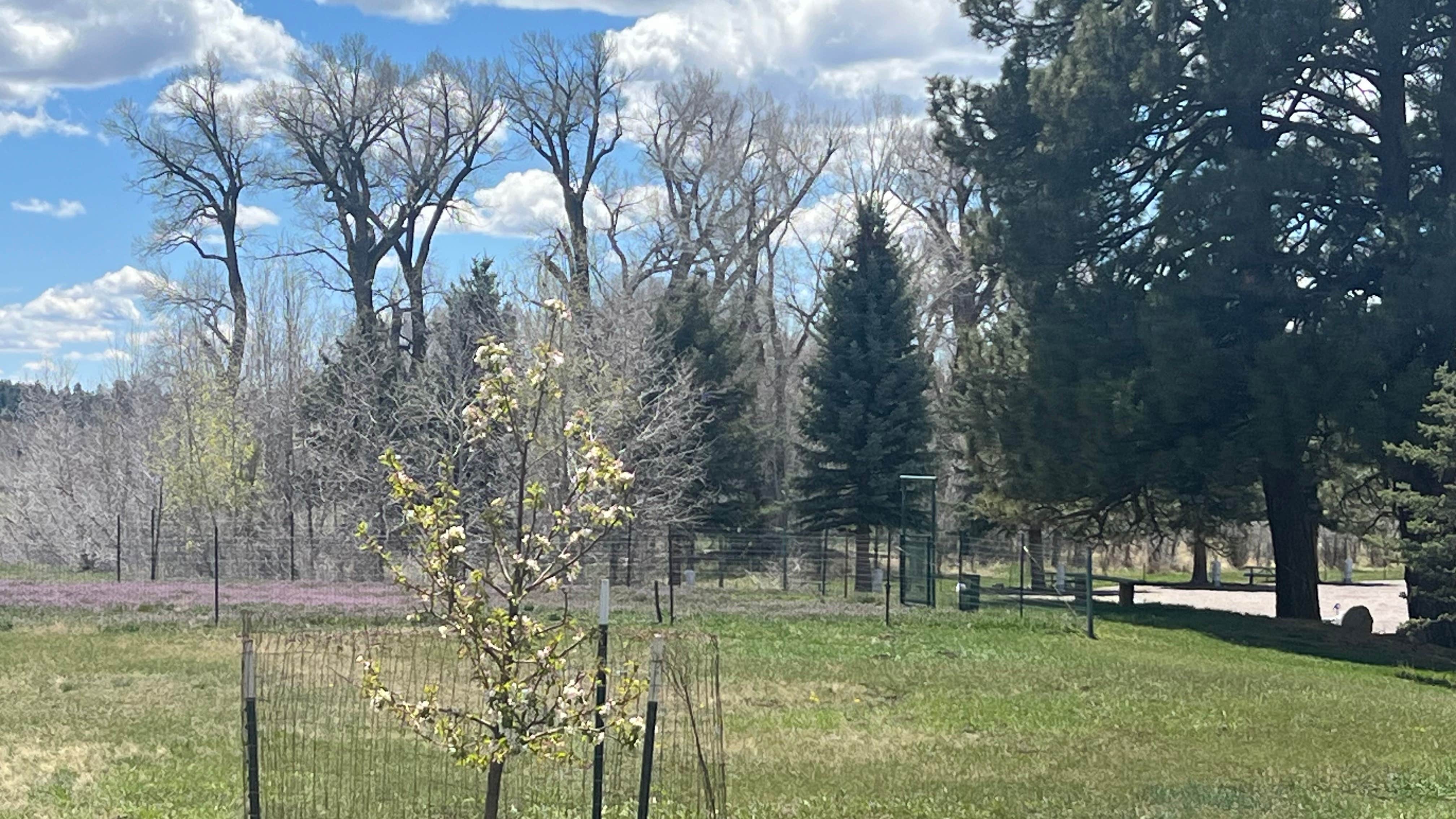 Camper-submitted photo at Sky Mountain Resort RV Park near Los Ojos, NM