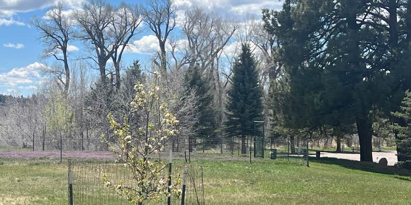 Camper submitted image from Sky Mountain Resort RV Park