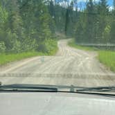 Review photo of Skyland Rd Dispersed Camping by Truly W., July 8, 2025