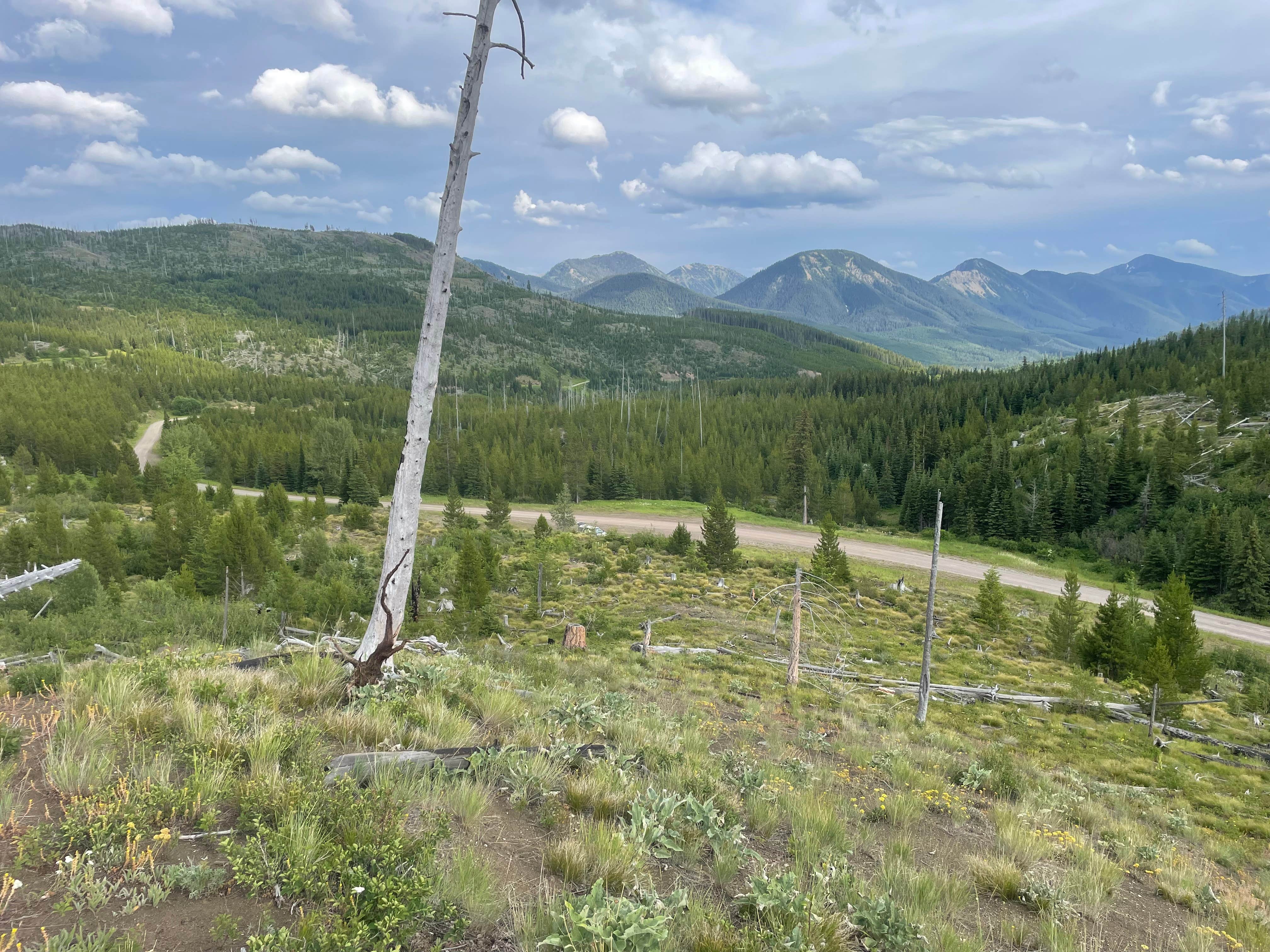 Camper-submitted photo at Skyland Rd Dispersed Camping near Heart Butte, MT