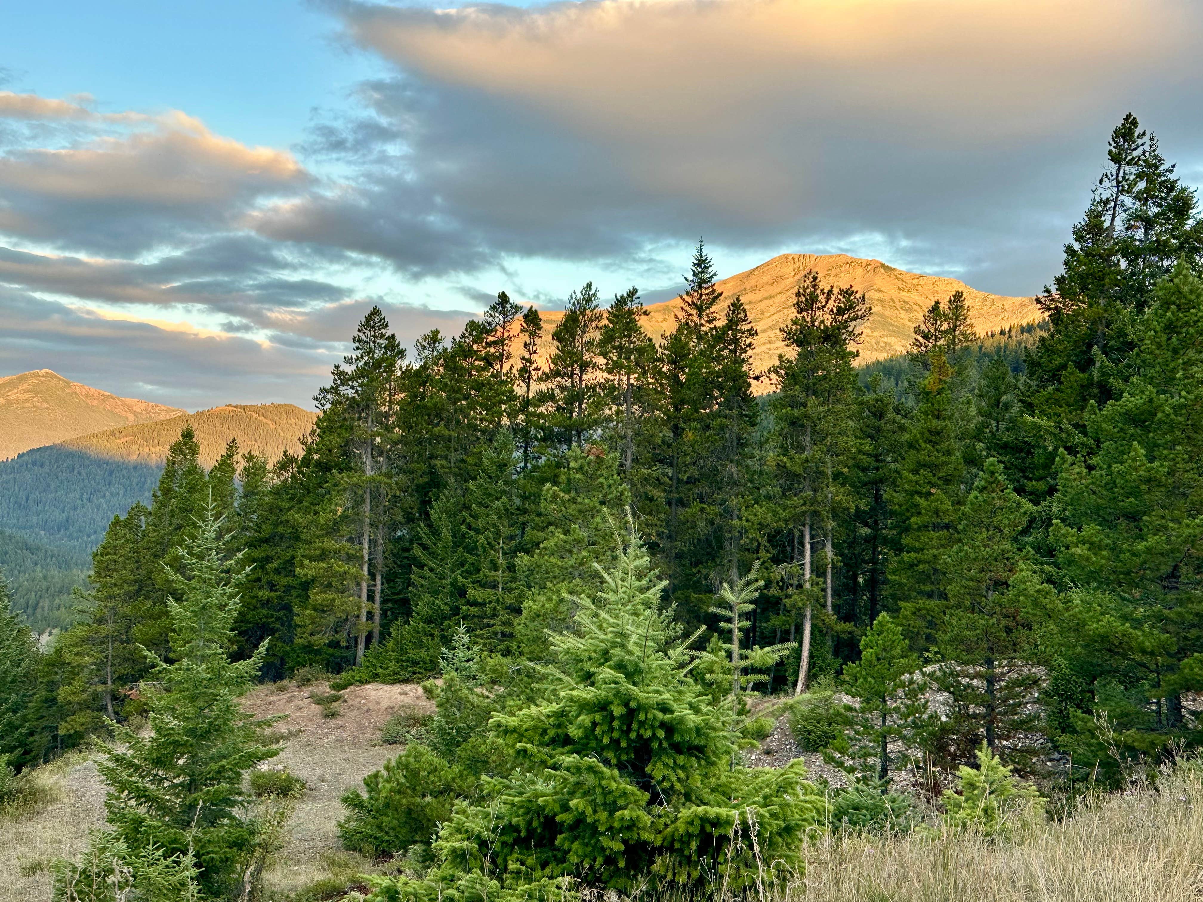 Camper-submitted photo at Skyland Rd Dispersed Camping near Essex, MT