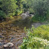Review photo of Skyland Rd Dispersed Camping by Zoey T., July 27, 2026