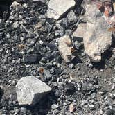Review photo of Skyland Rd Dispersed Camping by Truly W., July 8, 2025