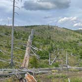 Review photo of Skyland Rd Dispersed Camping by Truly W., July 8, 2025