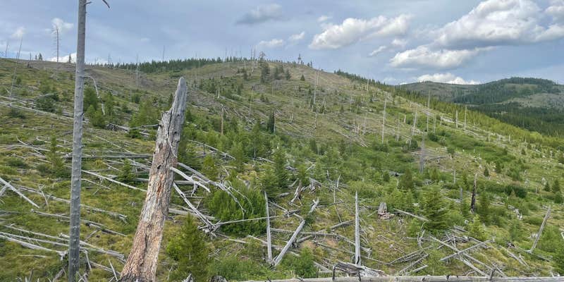 Camper submitted image from Skyland Rd Dispersed Camping