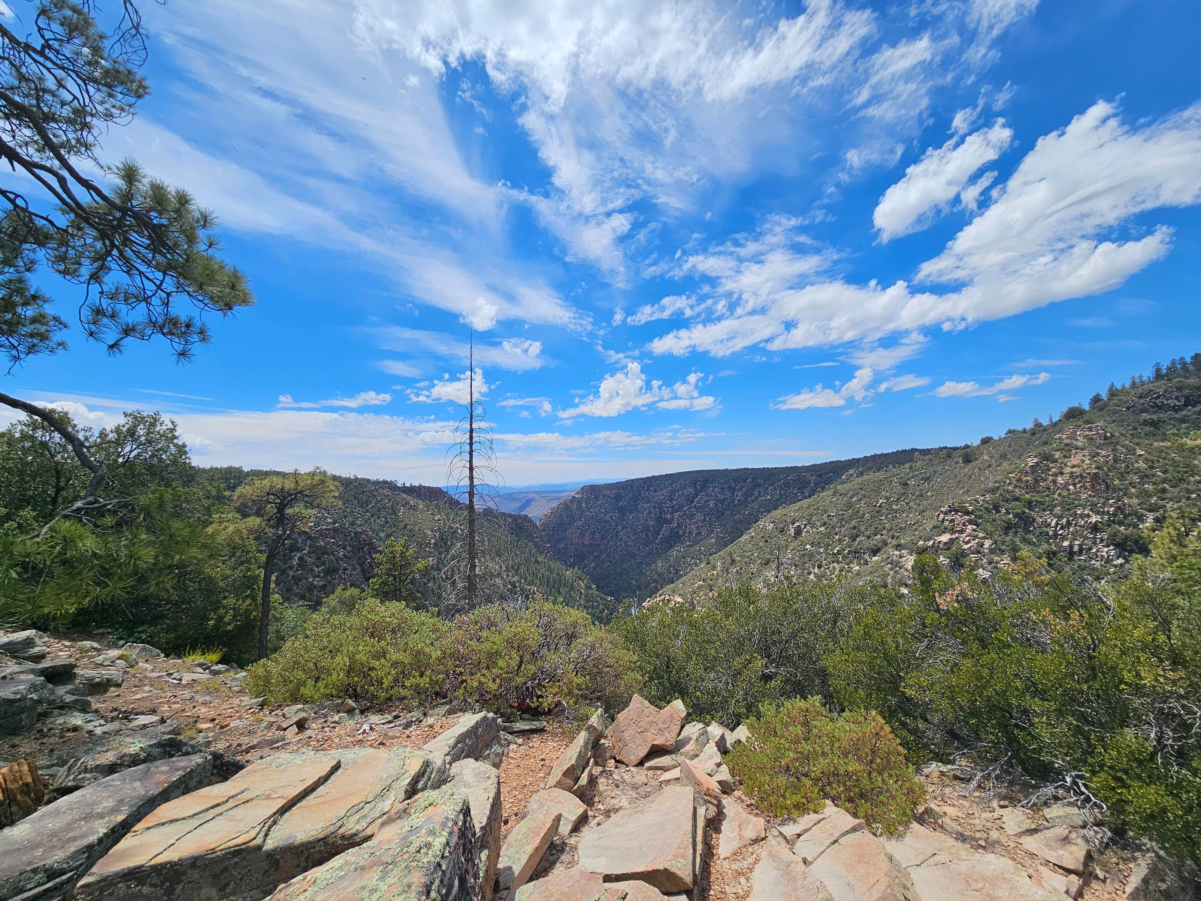 J D.'s photo of a dispersed camping area at FS 609 - Dispersed Camping near Payson, AZ