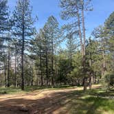 Review photo of FS 609 - Dispersed Camping by Chanel T., March 29, 2026