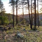 Review photo of FS 609 - Dispersed Camping by Ellison C., August 5, 2026