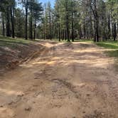 Review photo of FS 609 - Dispersed Camping by Chanel T., March 29, 2026