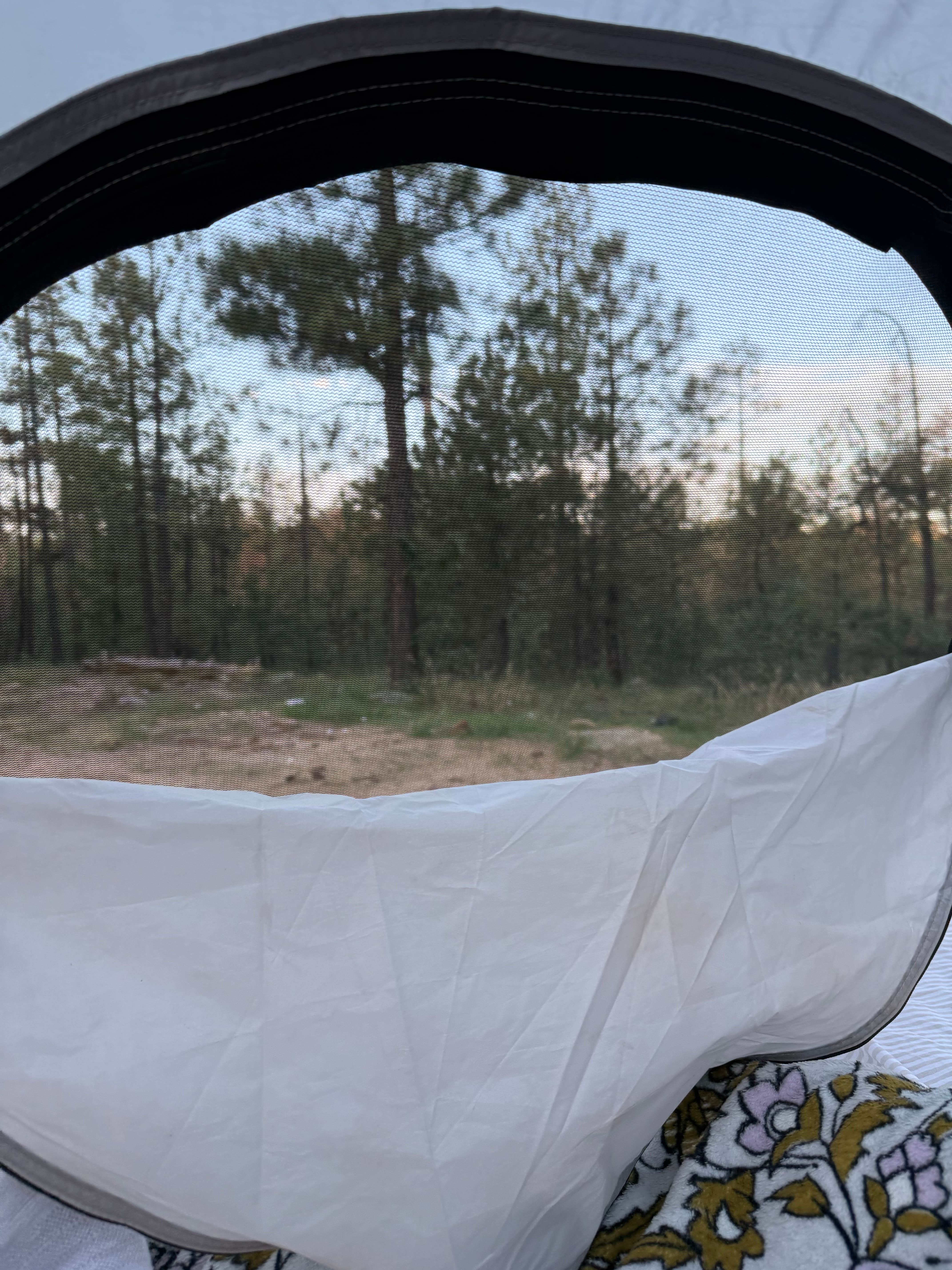Camper-submitted photo at FS 609 - Dispersed Camping near Payson, AZ