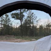 Review photo of FS 609 - Dispersed Camping by Ellison C., August 5, 2026