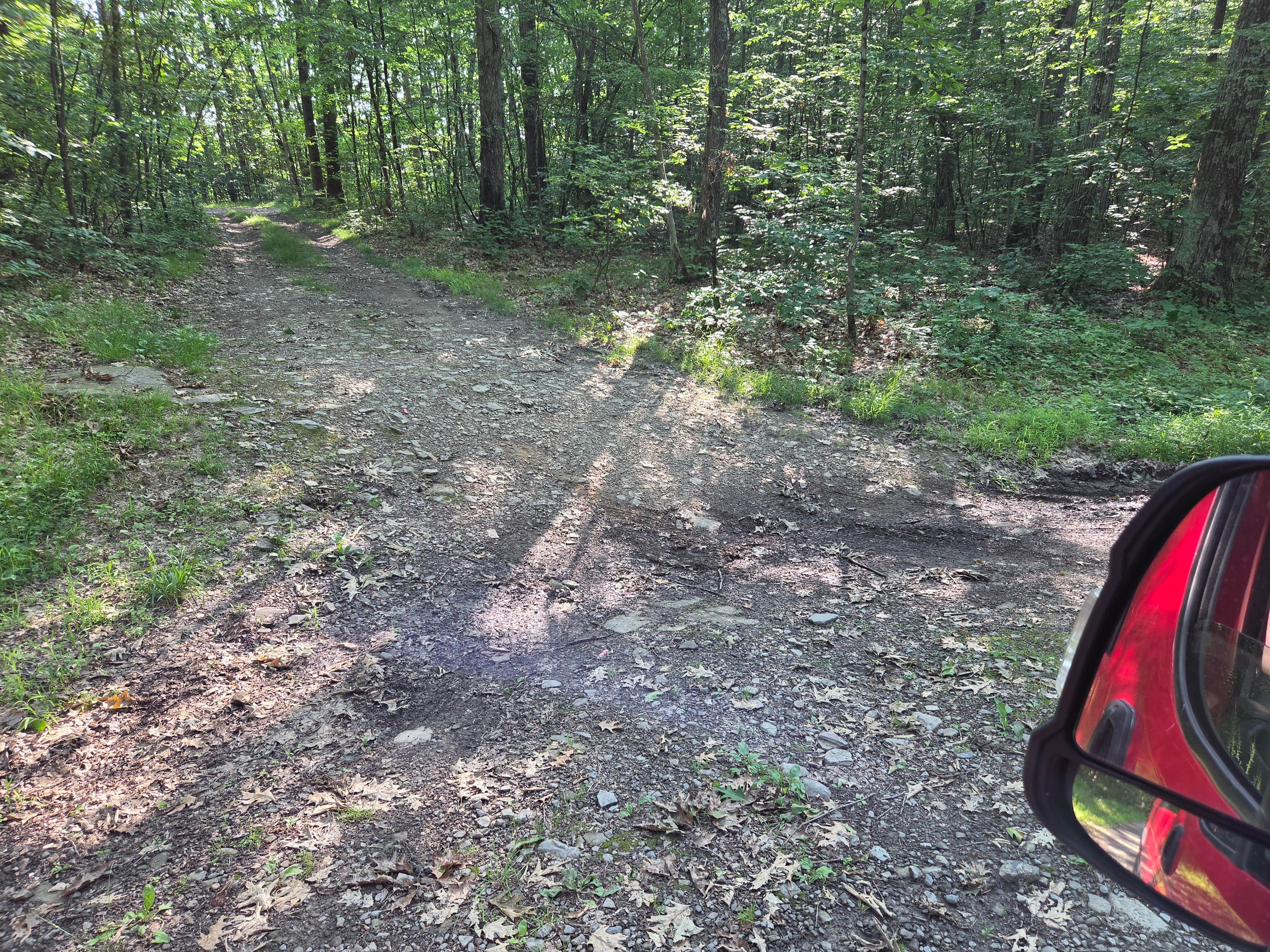 Camping near Oh! Pear Orchards: Skyline Drive State Forest, Kirkwood, New York
