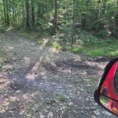 Review photo of Skyline Drive State Forest by Tinski H., July 3, 2026