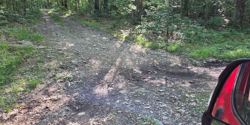 Camper submitted image from Skyline Drive State Forest